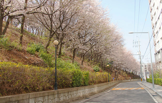 학교 전경